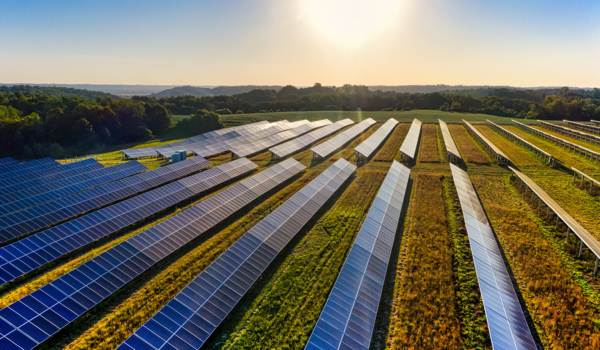 impianti fotovoltaici: bado parco agrisolare